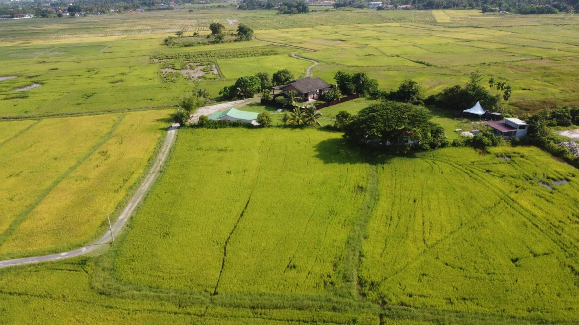 Villa Tempoyak Homestay Pantai Cenang  Zewnętrze zdjęcie