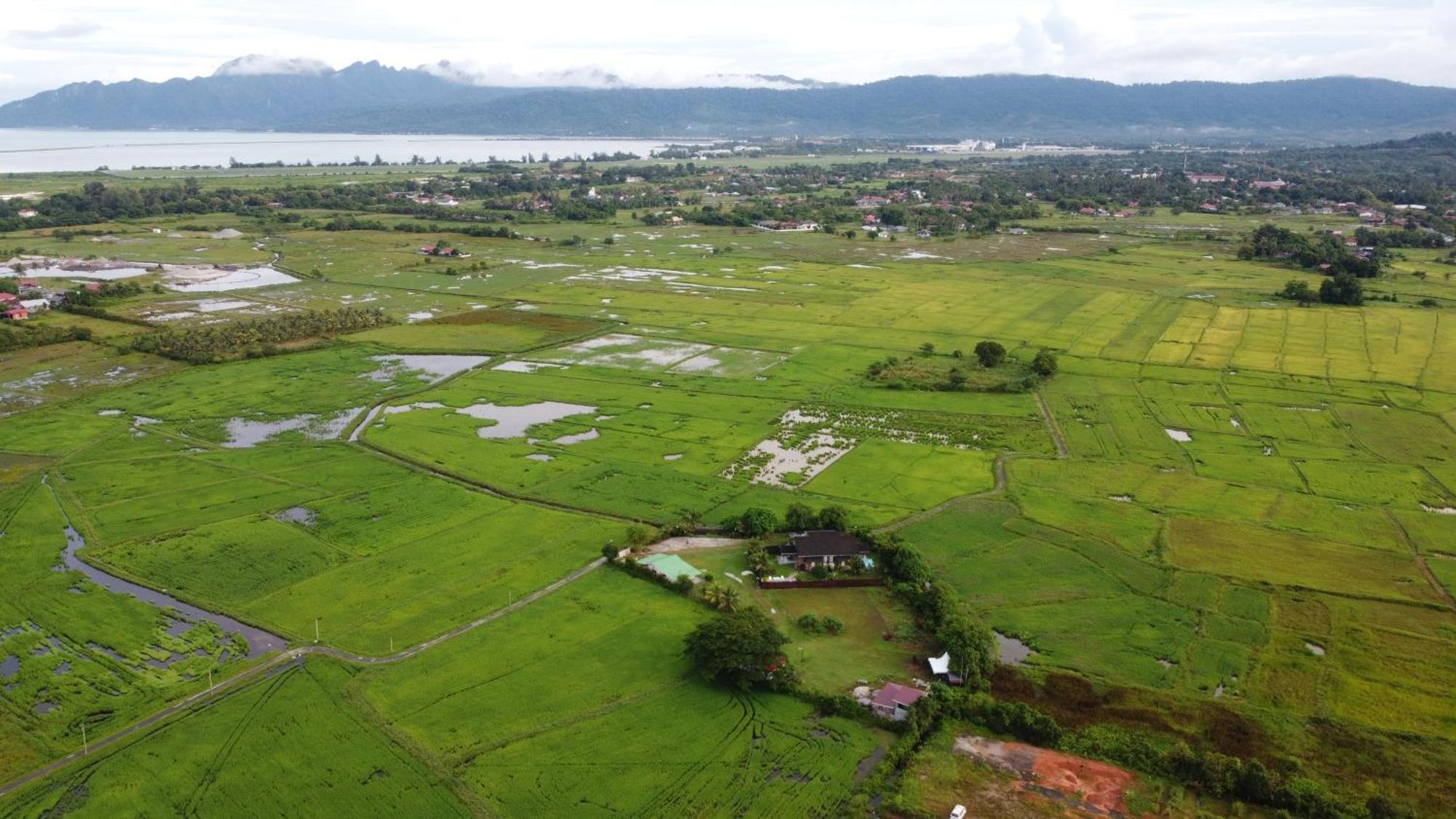 Villa Tempoyak Homestay Pantai Cenang  Zewnętrze zdjęcie