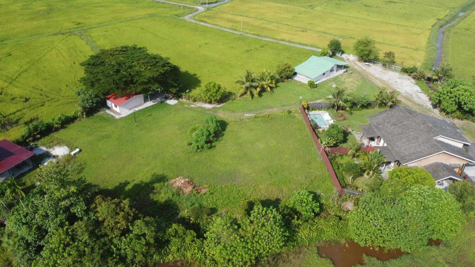 Villa Tempoyak Homestay Pantai Cenang  Zewnętrze zdjęcie