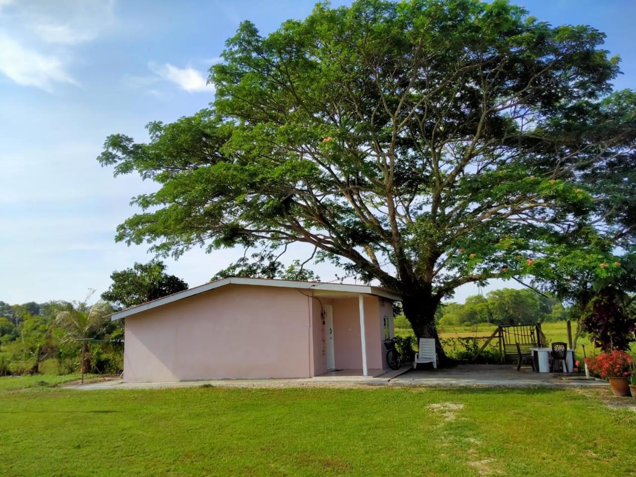 Villa Tempoyak Homestay Pantai Cenang  Zewnętrze zdjęcie