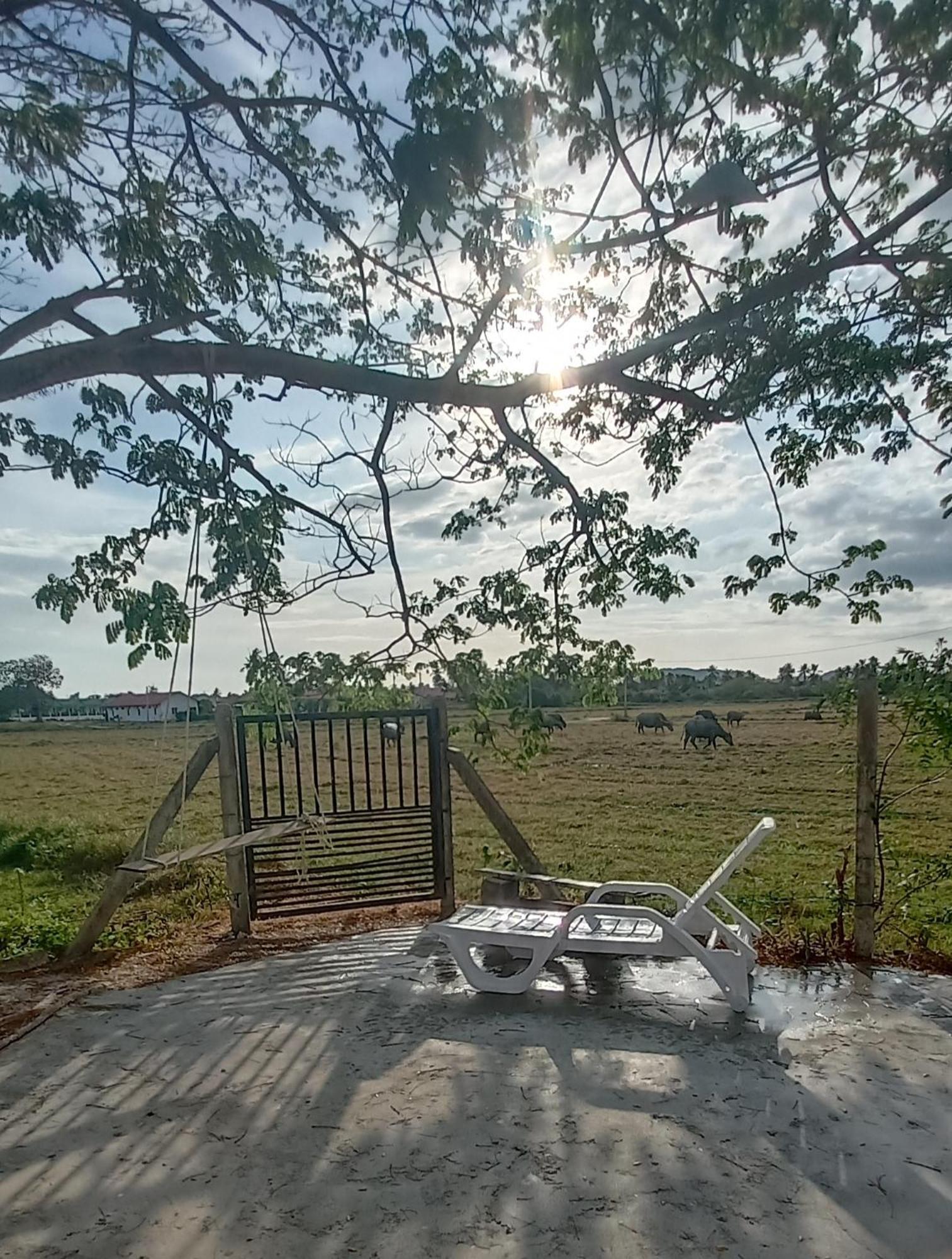 Villa Tempoyak Homestay Pantai Cenang  Pokój zdjęcie