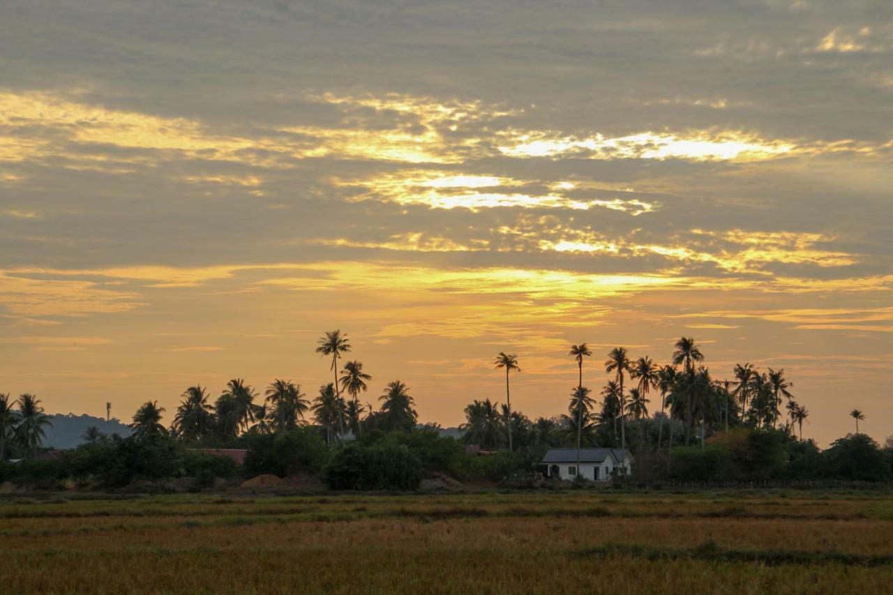 Villa Tempoyak Homestay Pantai Cenang  Zewnętrze zdjęcie